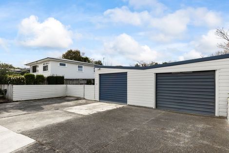 Photo of property in 27 Macarthur Street, Levin, 5510