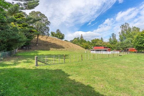 Photo of property in 83 Honi Taipua Street, Manakau, Levin, 5573