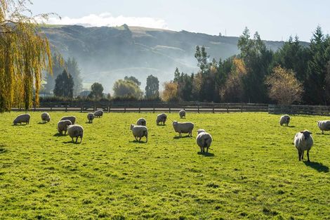 Photo of property in 130 School Road South, Mosgiel, 9092