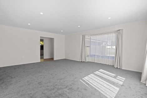 Photo of property in 223 Redwood Street, Witherlea, Blenheim, 7201
