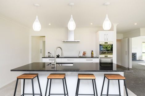 Photo of property in 174a Watershed Road, Bunnythorpe, Palmerston North, 4470