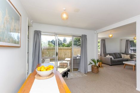 Photo of property in 119 Riversdale Drive, Merrilands, New Plymouth, 4312