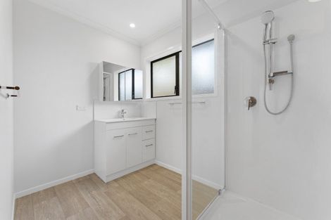 Photo of property in 98b Limbrick Street, Terrace End, Palmerston North, 4410