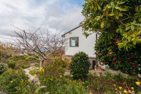 Photo of property in 103 Shetland Street, Wakari, Dunedin, 9010