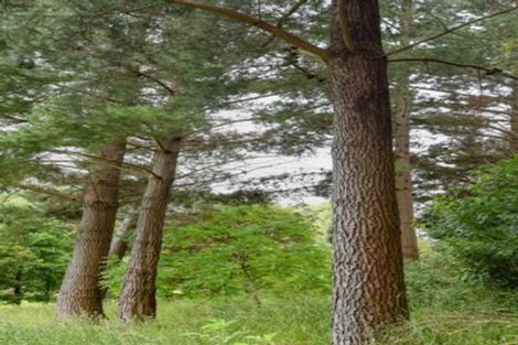 Photo of property in 578 Le Bons Bay Road, Le Bons Bay, Akaroa, 7583