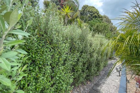 Photo of property in 672 Thames Coast Sh25 Road, Waiomu, Thames, 3575