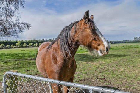 Photo of property in 677 Woodstock Road, Burnt Hill, Oxford, 7495