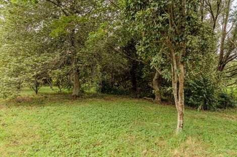 Photo of property in 47 Pook Road, Buckland, Pukekohe, 2677