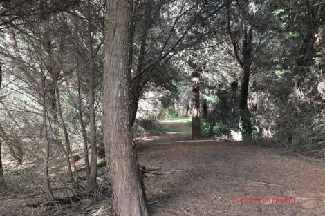 Photo of property in 144 Takahoa Drive, Kaiwaka, 0573