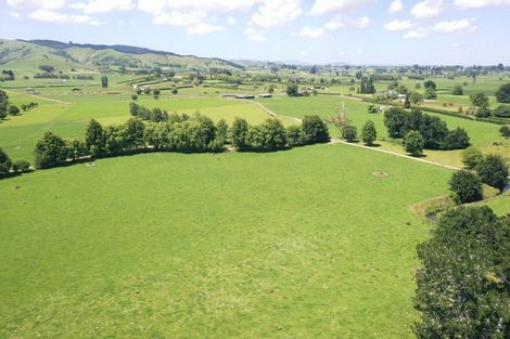 Photo of property in 231 Grice Road, Rotoorangi, Cambridge, 3495