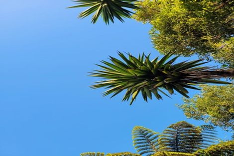 Photo of property in 16 Asquith Terrace, Brooklyn, Wellington, 6021