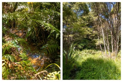 Photo of property in 49 Mangotahi Road, Thames, 3577