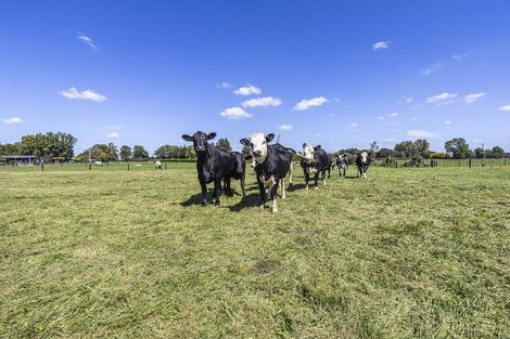 Photo of property in 396a Bruntwood Road, Matangi, Cambridge, 3493