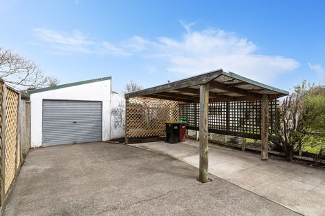 Photo of property in 62 Herbert Street, Masterton, 5810