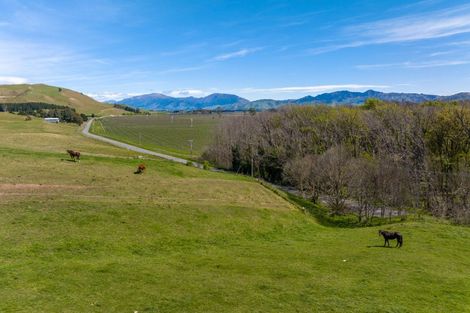 Photo of property in 59 Marama Road, Seddon, 7285