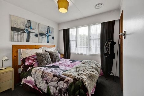 Photo of property in 114 Ariel Street, Stratford, 4332