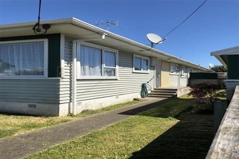 Photo of property in 21 Mako Mako Road, Levin, 5510