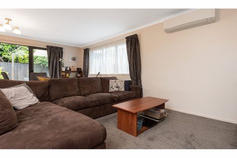 Photo of property in 20 Collingwood Street, Judea, Tauranga, 3110