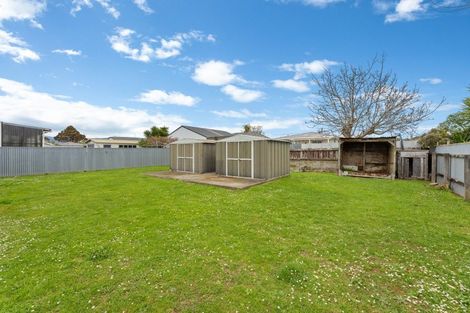 Photo of property in 56 Wilton Street, Levin, 5510