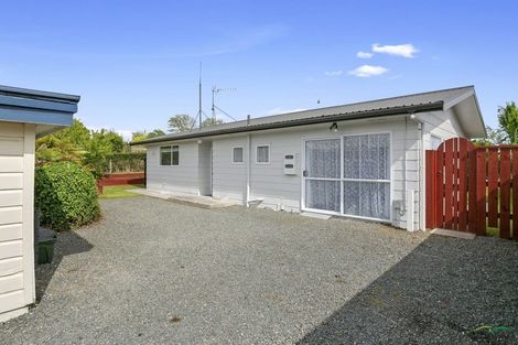 Photo of property in 24 Clothier Street, Putaruru, 3411