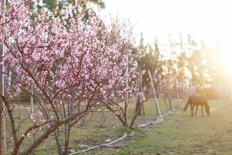 Photo of property in 65 Butterfield Road, Hawea Flat, 9382