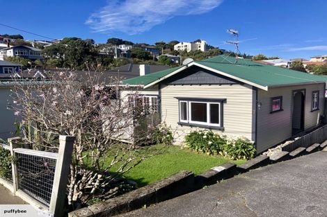 Photo of property in 7 Akatea Street, Berhampore, Wellington, 6023