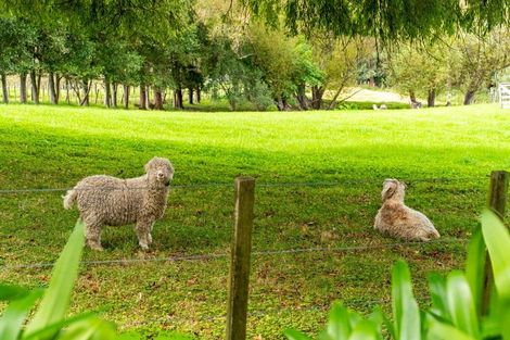 Photo of property in 2239b State Highway 12, Paparoa, 0571