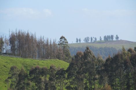 Photo of property in 315 Otake Road, Marotiri, Taupo, 3377