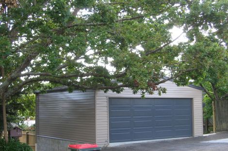 Photo of property in 40 Alexis Avenue, Mount Albert, Auckland, 1025