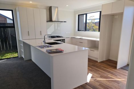 Photo of property in 33 Guillaume Street, Chartwell, Hamilton, 3210