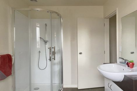 Photo of property in 62b Eton Street, Hampstead, Ashburton, 7700