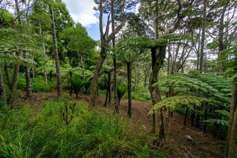 Photo of property in 22 Waikarekare Lane, Karekare, Auckland, 0772
