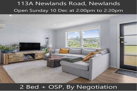 Photo of property in 113a Newlands Road, Newlands, Wellington, 6037