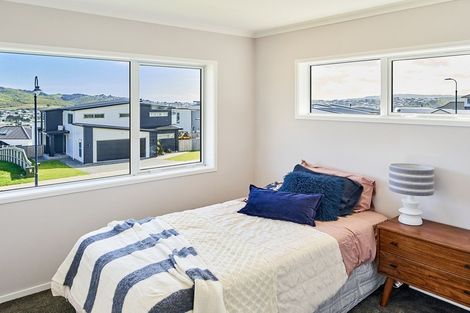 Photo of property in 113 Queen Charlotte Drive, Aotea, Porirua, 5024