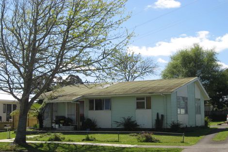 Photo of property in 4 Caesar Roose Place, Huntly, 3700