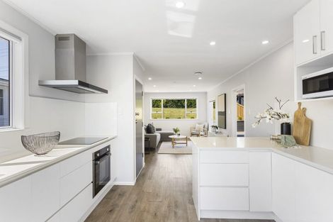 Photo of property in 40 Ellis Avenue, Mount Roskill, Auckland, 1041