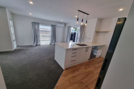 Photo of property in 535 Barbadoes Street, Edgeware, Christchurch, 8013