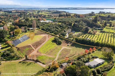 Photo of property in 137 Lochhead Road, Te Puna, Tauranga, 3176