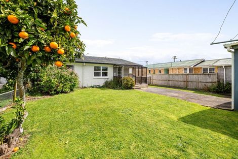 Photo of property in 1 Kingsley Street, St Andrews, Hamilton, 3200