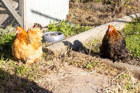 Photo of property in 4 March Street, Spring Creek, 7202