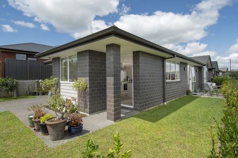 Photo of property in 66 Sentinel Avenue, Omokoroa, 3114