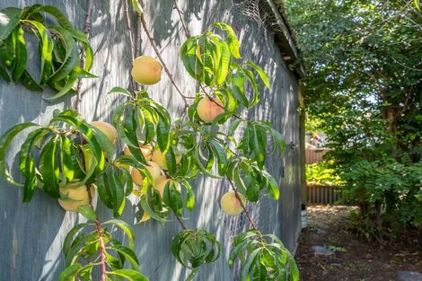 Photo of property in 173 Rangiuru Road, Otaki, 5512