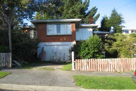 Photo of property in 17 Shipka Street, Abbotsford, Dunedin, 9018