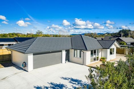 Photo of property in 38 Jack Boyd Drive, Mangawhai Heads, Kaiwaka, 0573