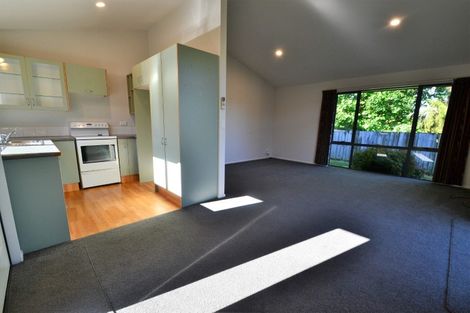 Photo of property in 116a Templemore Drive, Richmond, 7020