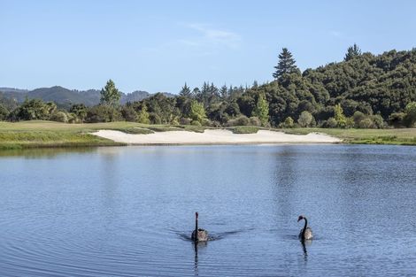 Photo of property in 45 Pinehurst Drive, Pauanui, Hikuai, 3579