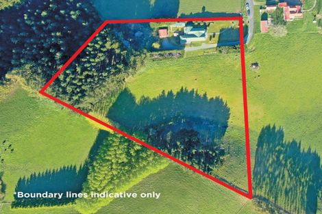 Photo of property in 14 Annan Street, Lawrence, 9532