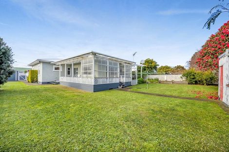 Photo of property in 17 Albion Street, Hawera, 4610