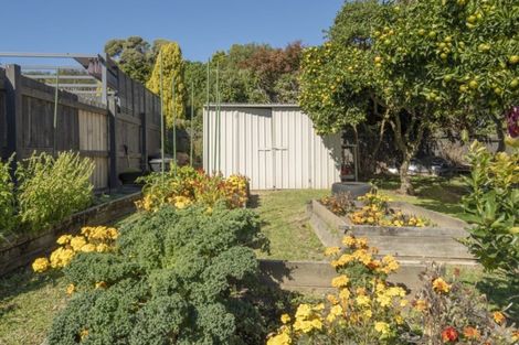 Photo of property in 7 Walnut Grove, Omokoroa, 3114