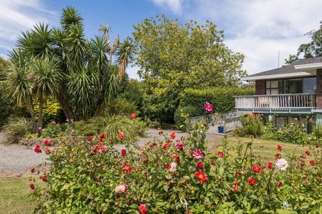 Photo of property in 231 Rea Road, Tahawai, Katikati, 3178